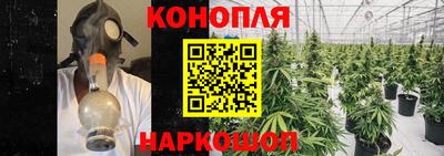 амф Будённовск