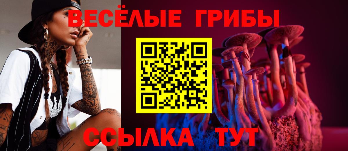 Псилоцибиновые грибы мицелий  Вход с VPN  Реутов 